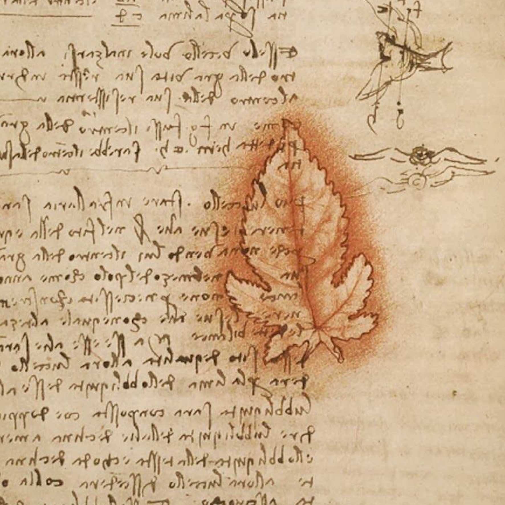 Leonardo da Vinci’s Codex on the Flight of Birds 