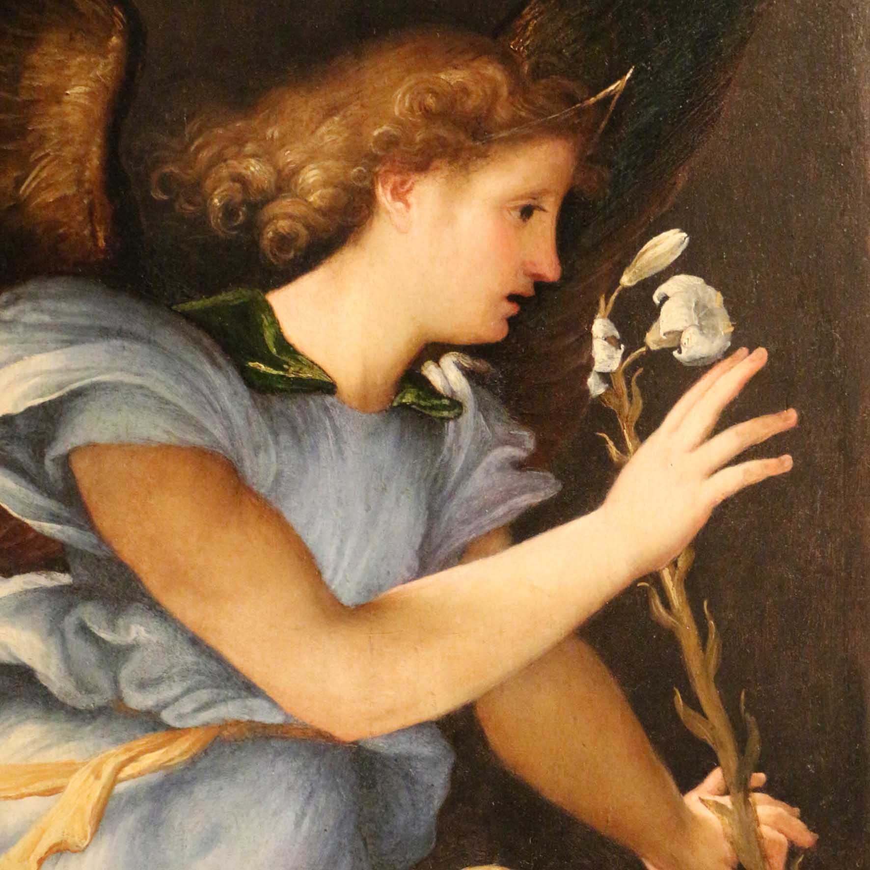 Lorenzo Lotto nelle Marche. Il Rinascimento nelle Marche